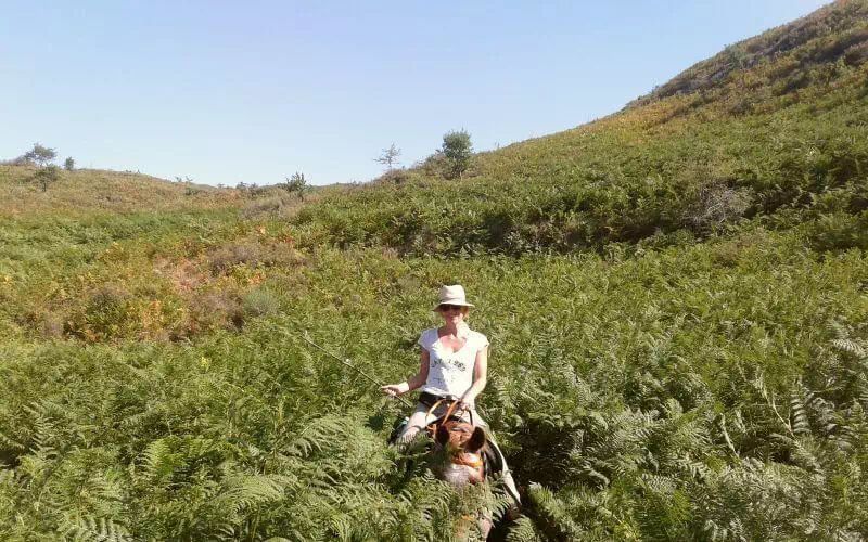 Horse riding in the Alcantara Park