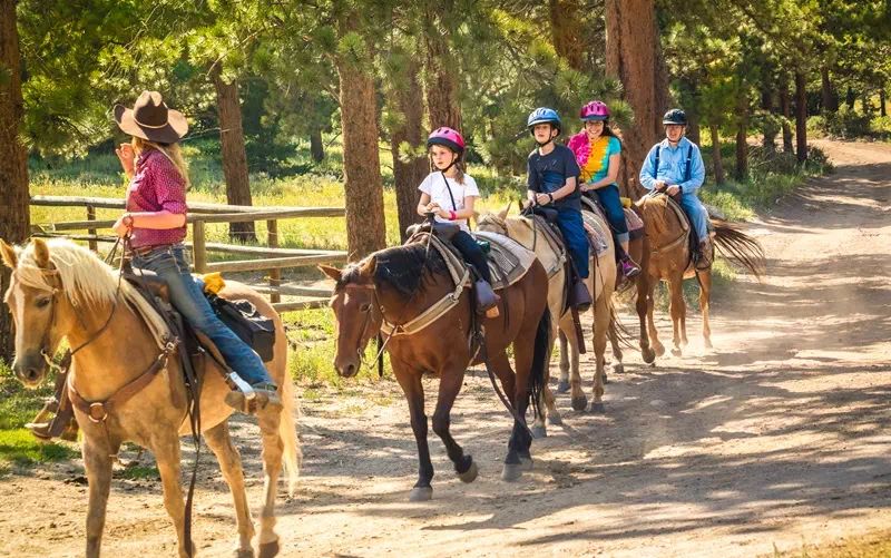 Horse riding on Etna