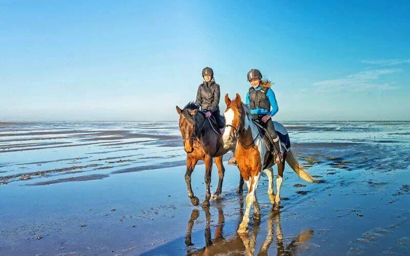 Horse riding on beach and river